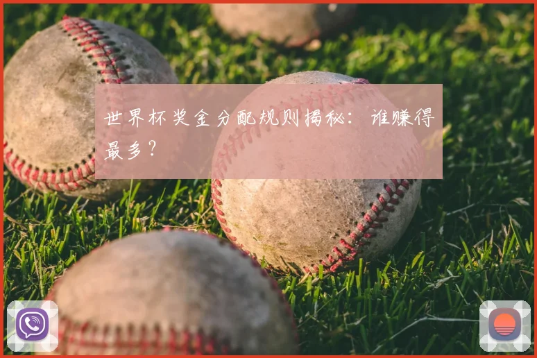 世界杯奖金分配规则揭秘：谁赚得最多？