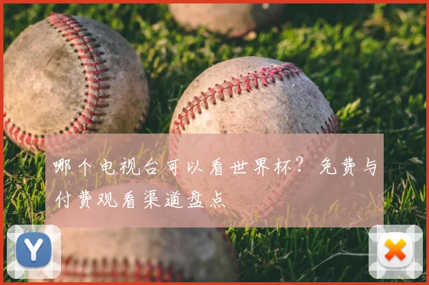 哪个电视台可以看世界杯？免费与付费观看渠道盘点