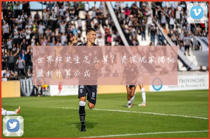 世界杯奖金怎么算？资深玩家揭秘盈利计算公式