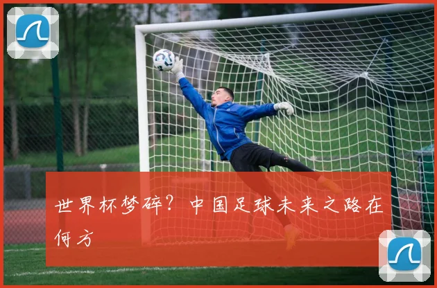 世界杯梦碎？中国足球未来之路在何方