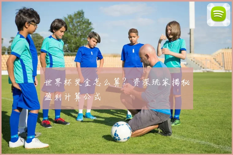 世界杯奖金怎么算？资深玩家揭秘盈利计算公式