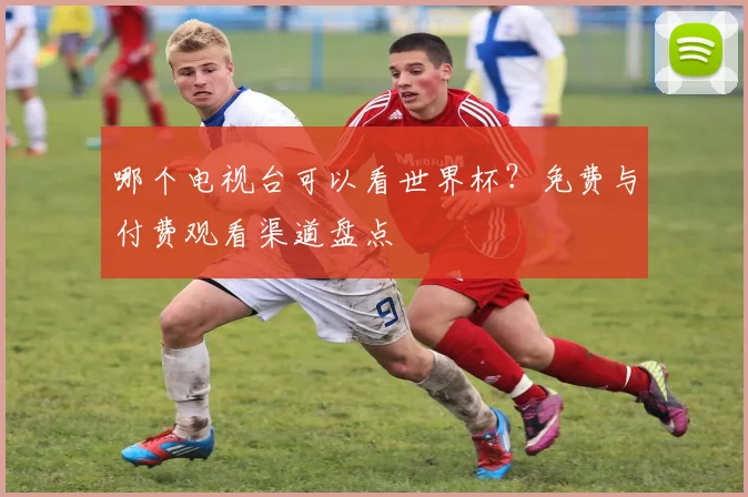 哪个电视台可以看世界杯?免费与付费观看渠道盘点