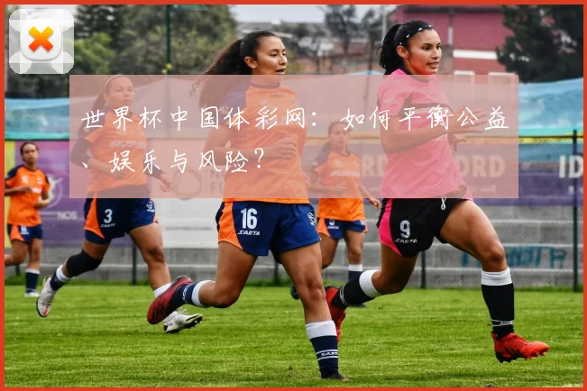 世界杯中国体彩网：如何平衡公益、娱乐与风险？