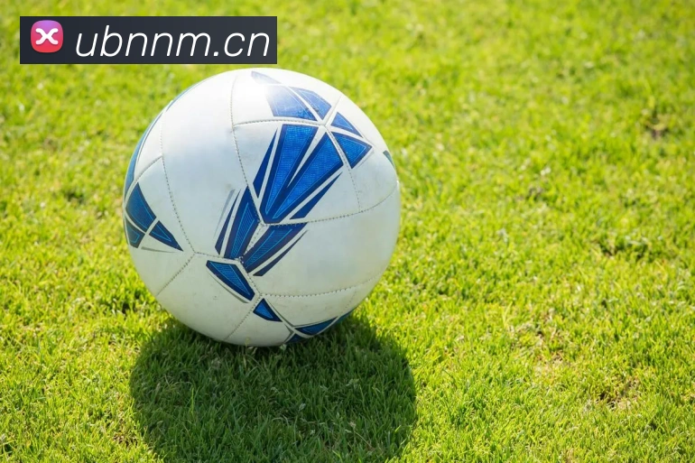 leyu乐鱼地址APP 封面图